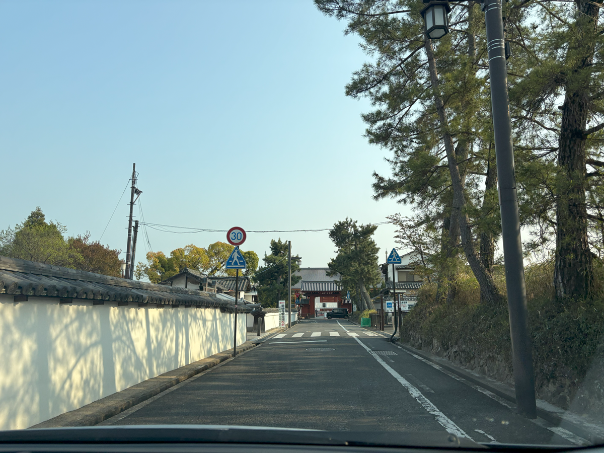 IMG 1359 1