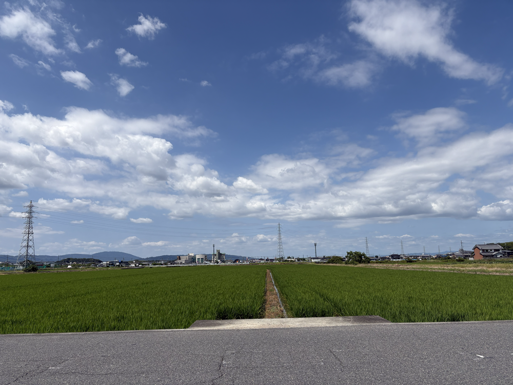 ペーパードライバー教習(講習)奈良県大和郡山市の30代女性(以前に教習を受講しましたが再度運転に自信が持てる様に成りたいです) ペーパードライバー教習(講習)奈良県大和郡山市の30代女性(以前に教習を受講しましたが再度運転に自信が持てる様に成りたいです)